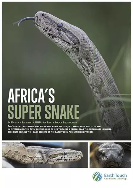 Africa's Super Snake