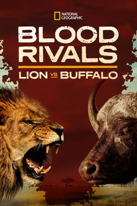 Blood Rivals: Lion vs Buffalo