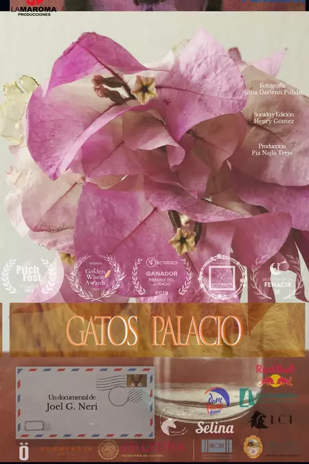 Gatos palacio