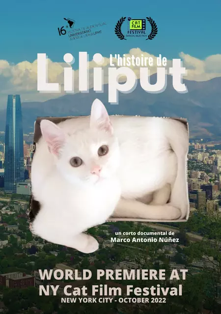 Liliput's Story