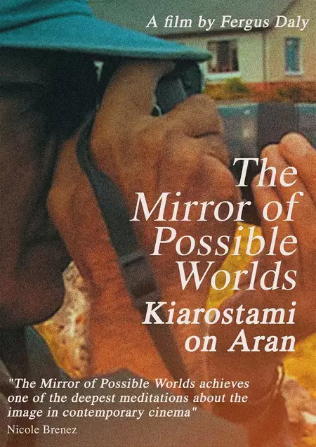 The Mirror of Possible Worlds: Kiarostami on Aran