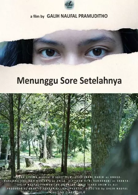 Menunggu Sore Setelahnya