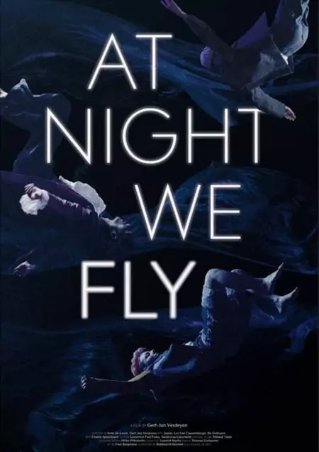 At Night We Fly