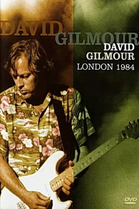 David Gilmour - London 1984