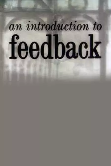 An Introduction to Feedback