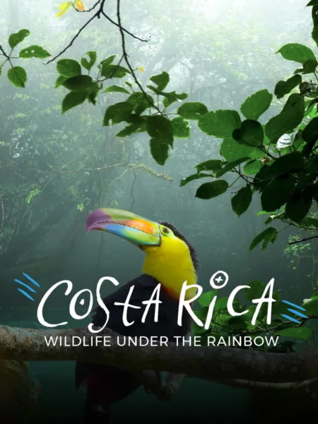 Costa Rica: Wildlife Under The Rainbow