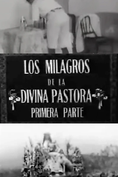 Los milagros de la Divina Pastora