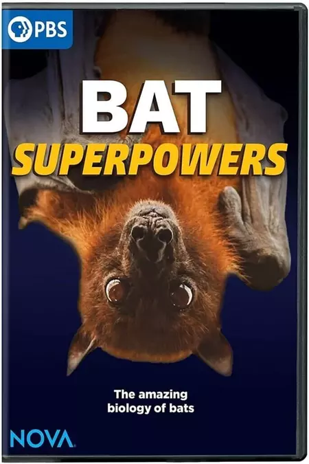 Bat Superpowers