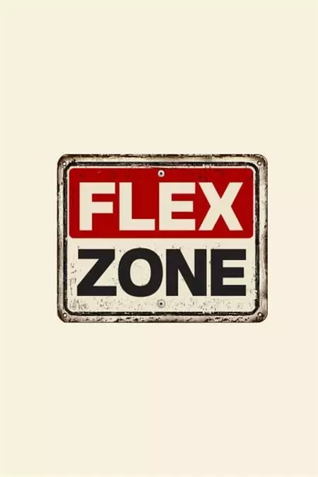 FLEX ZONE