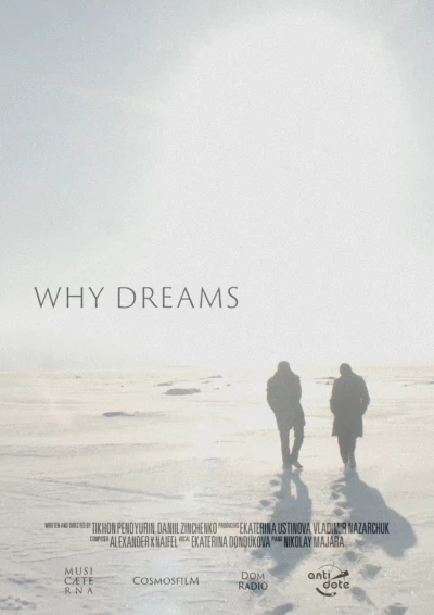 Why Dreams