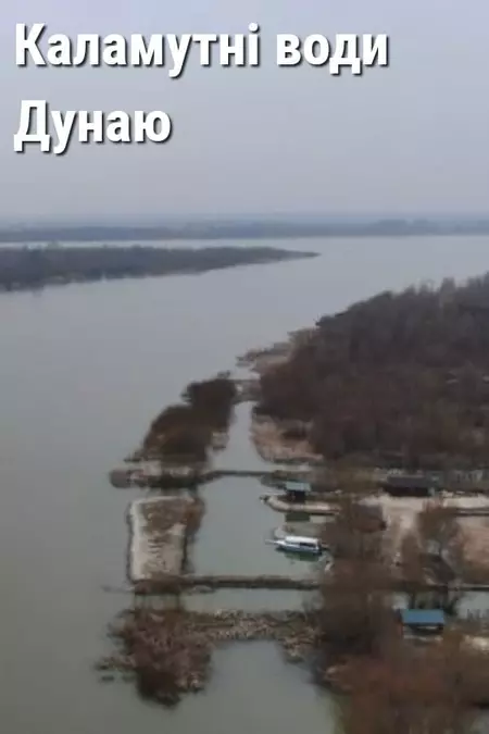 Muddy Waters of the Danube