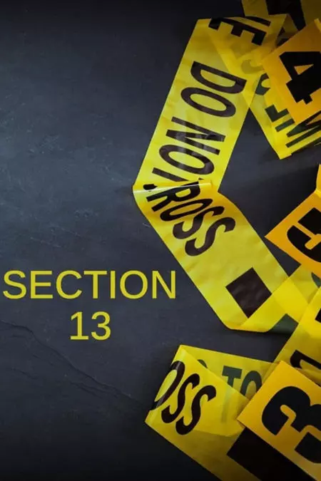 Section 13