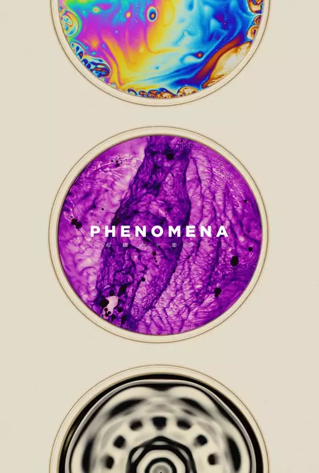 Phenomena