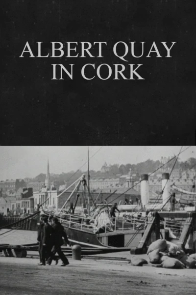 Albert Quay in Cork