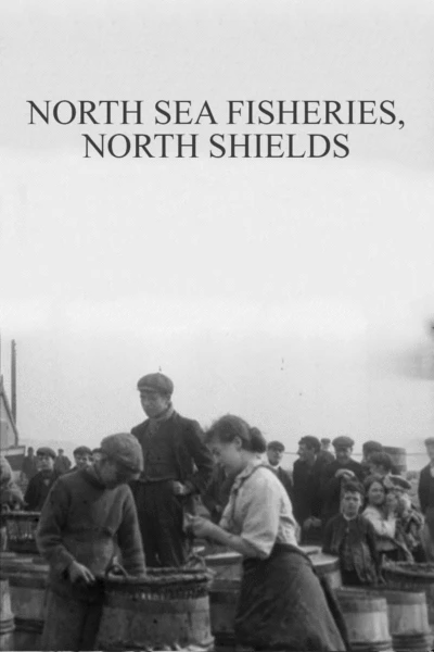 North Sea Fisheries, North Shields