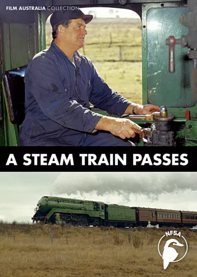A Steam Train Passes