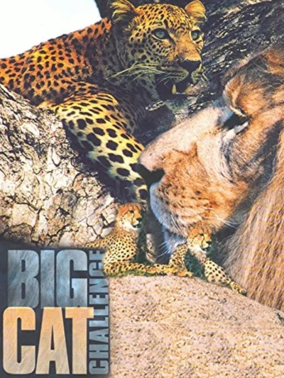 Big Cat Challenge