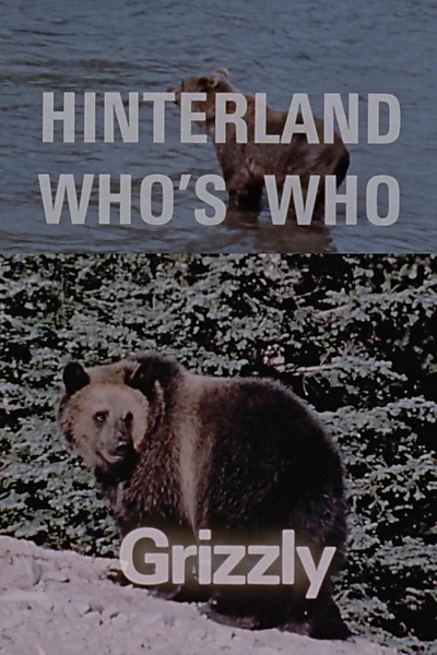 Hinterland Who's Who: Grizzly