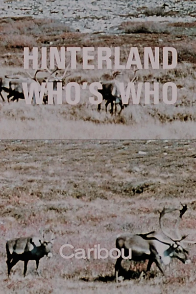 Hinterland Who's Who: Caribou