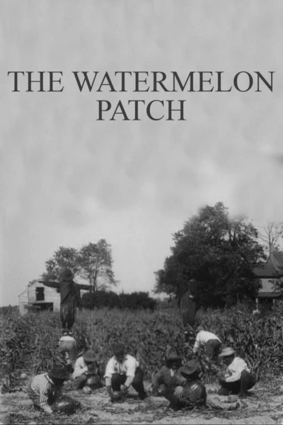 The Watermelon Patch