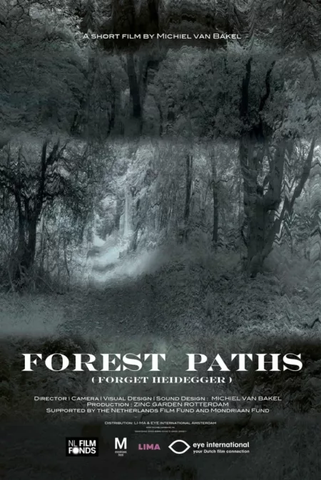 Forest Paths (forget Heidegger)