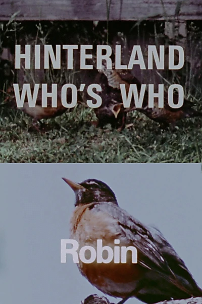 Hinterland Who's Who: Robin