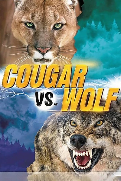 Cougar v. Wolf