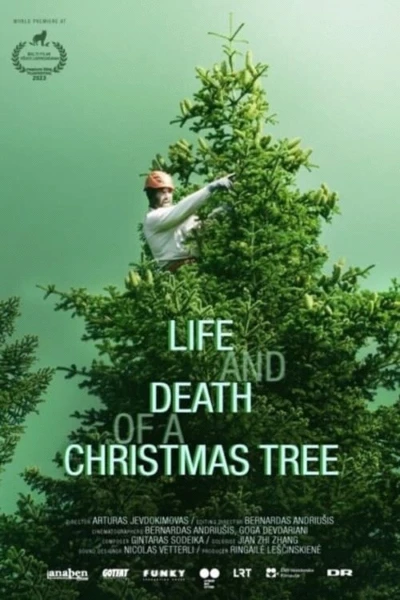 Life and Death of a Christmas Tree