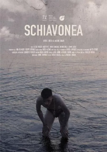 Schiavonea