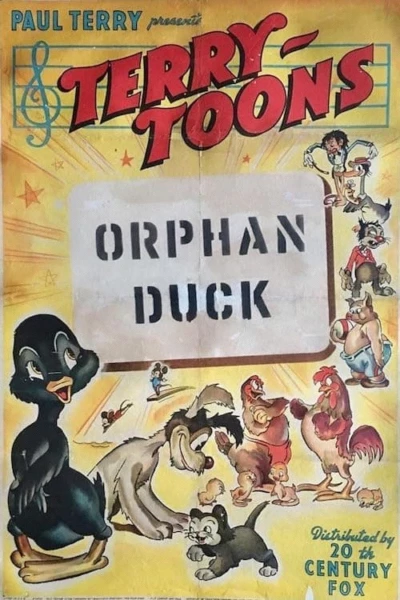 The Orphan Duck