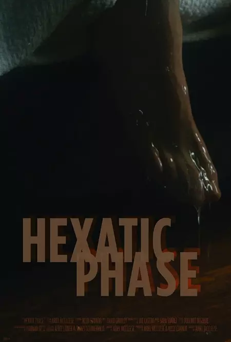 Hexatic Phase