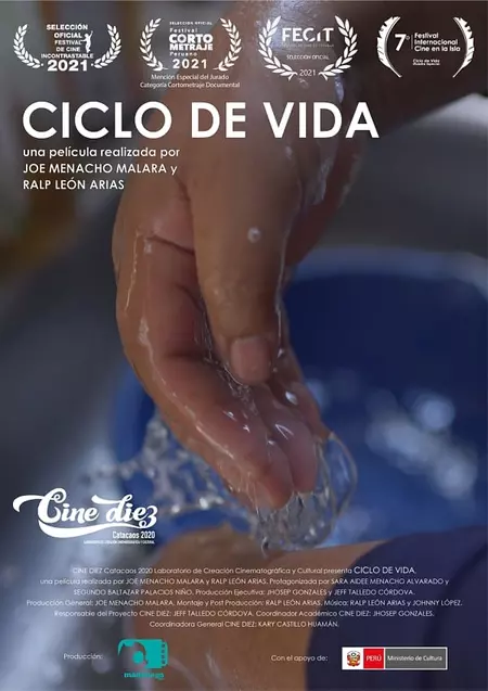 Ciclo de Vida