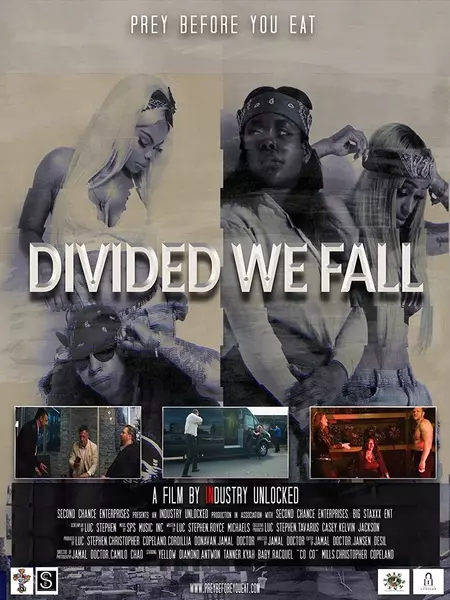 Divided We Fall