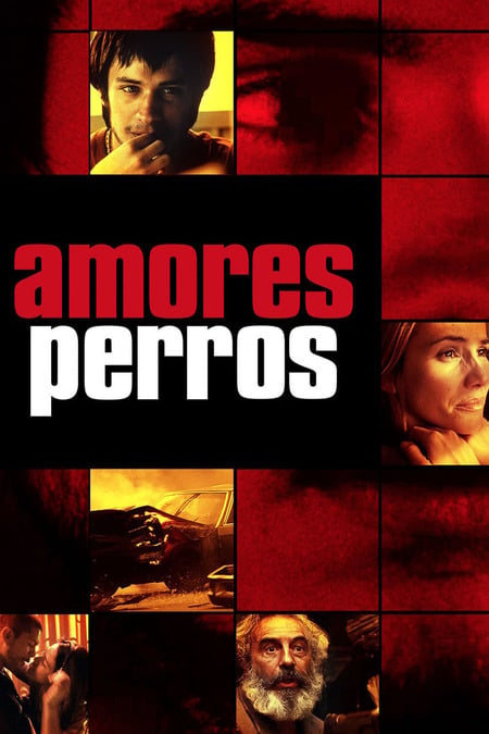 what does amores perros mean