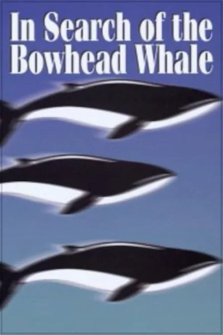 In Search of the Bowhead Whale