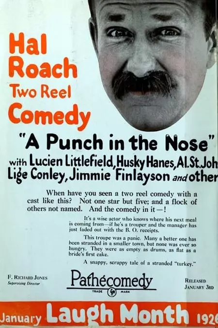 A Punch in the Nose