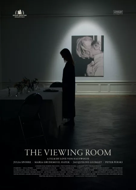 The Viewing Room