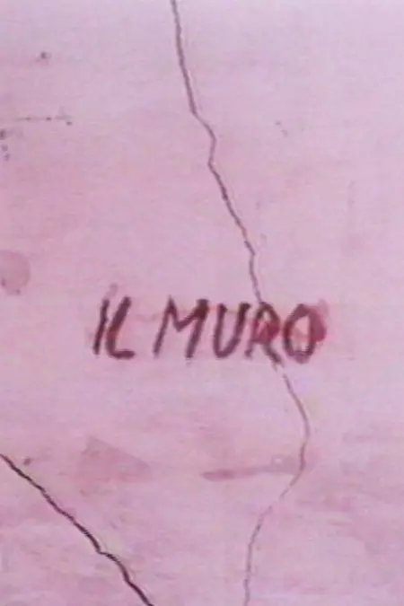 Il muro