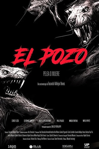 El pozo