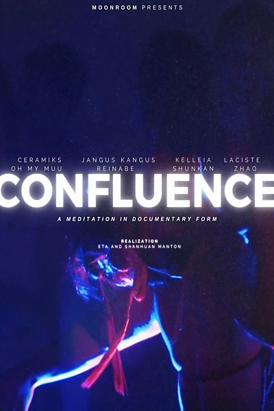 Confluence: A Meditation in Documentary Form