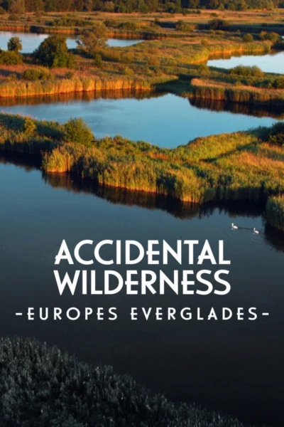 The Accidental Wilderness: Europe's Everglades