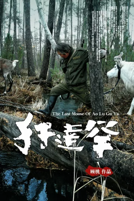 The Last Moose Of Ao Lu Gu Ya