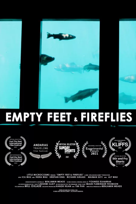 Empty Feet & Fireflies