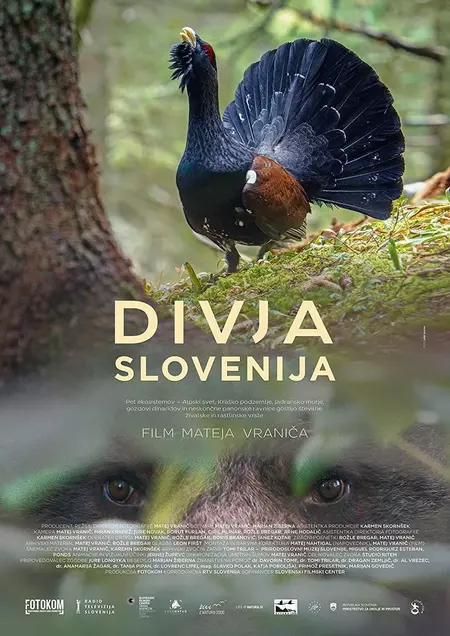 Wild Slovenia