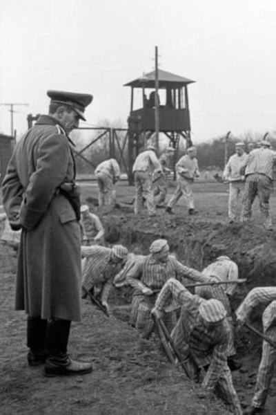 Ein Tag - Bericht aus einem deutschen Konzentrationslager 1939