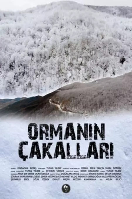 Ormanın Çakalları