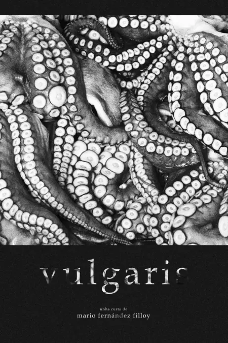 Vulgaris