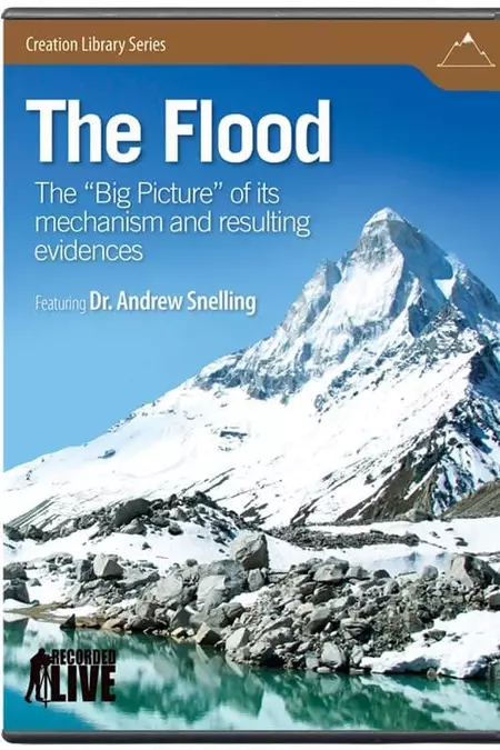 The Flood: The Big Picture of Its Mechanism and Resulting Evidences