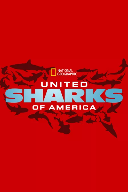 United Sharks of America