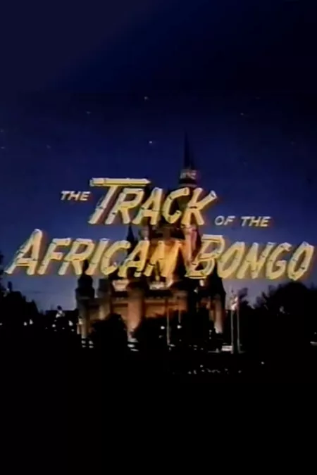 The Track of the African Bongo